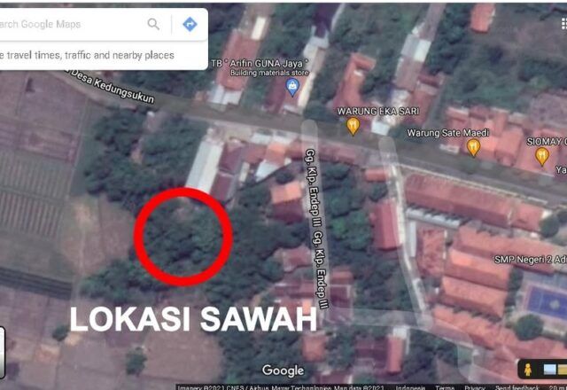 Dijual Cepat 15 Pohon Jati 10 Tahun + Sawah 1.363 m2 Desa Bulakpacing Kabupaten Tegal