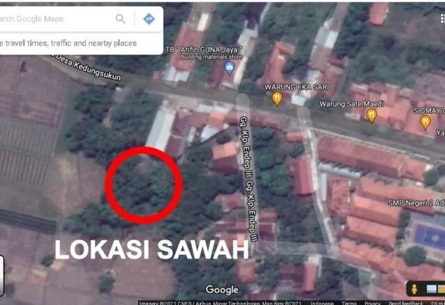 Dijual Cepat 15 Pohon Jati 10 Tahun + Sawah 1.363 m2 Desa Bulakpacing Kabupaten Tegal