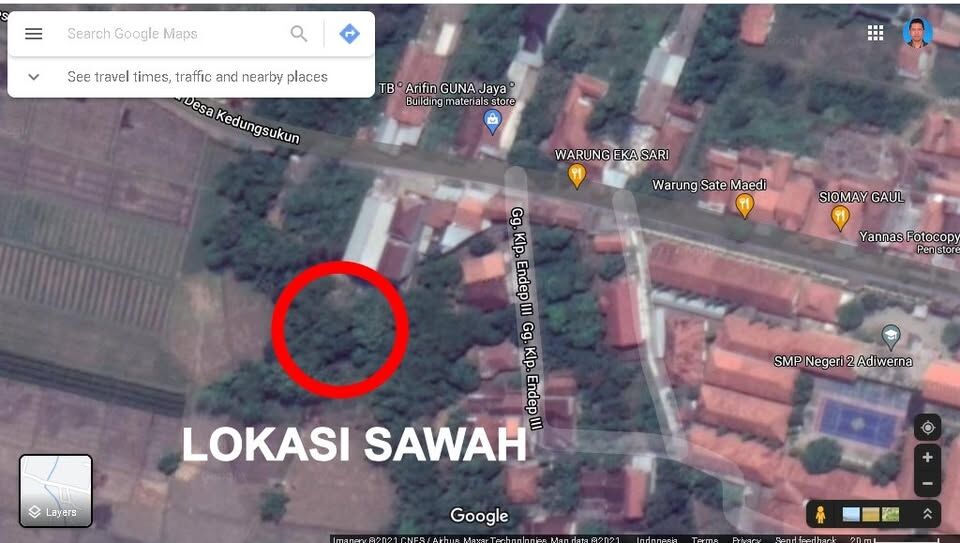 Dijual Cepat 15 Pohon Jati 10 Tahun + Sawah 1.363 m2 Desa Bulakpacing Kabupaten Tegal - foto 1