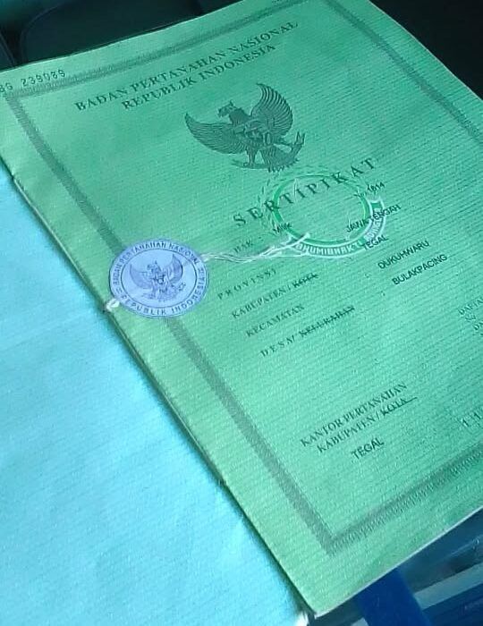 Dijual Cepat 15 Pohon Jati 10 Tahun + Sawah 1.363 m2 Desa Bulakpacing Kabupaten Tegal - foto 2